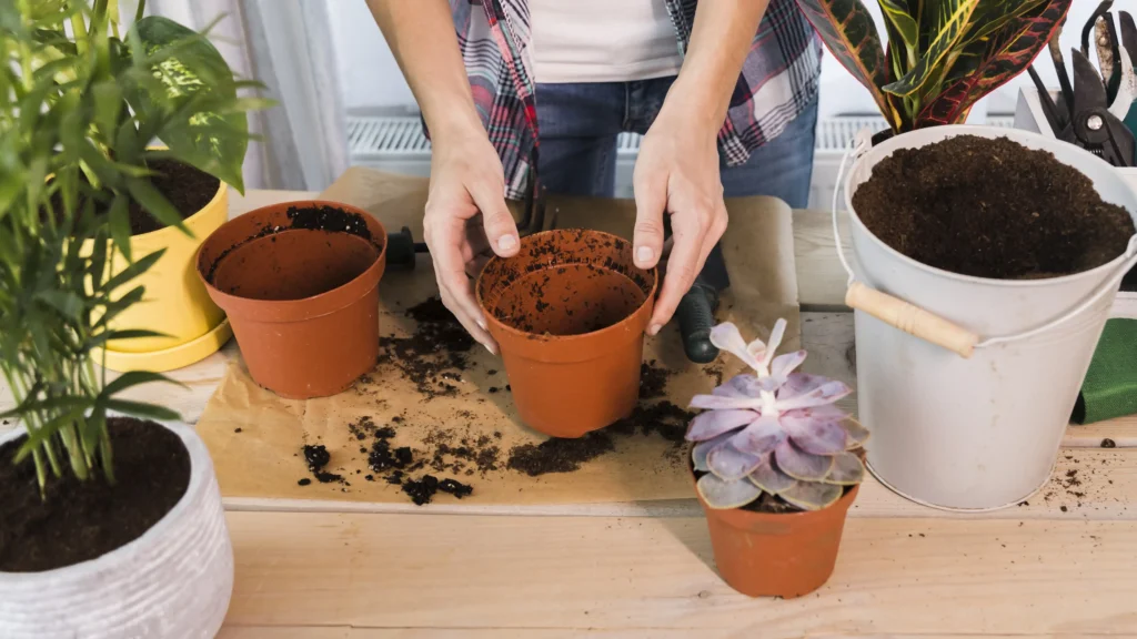 Preparing the Potting Mix