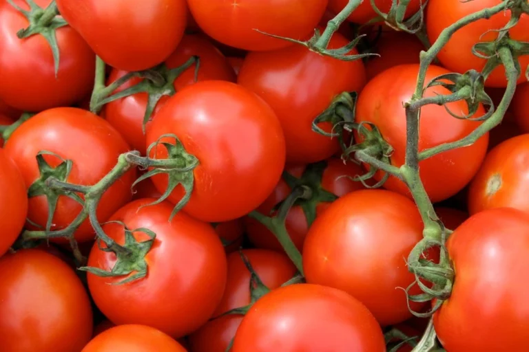 how to get tomatoes to grow faster