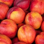 How to plant and grow peach seeds