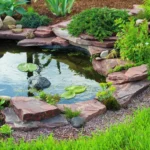 How to build small pond in garden